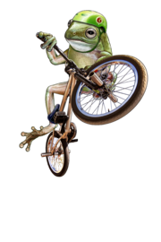 Froggie BMX