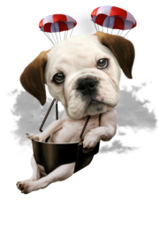 BULLDOG PARACHUTING