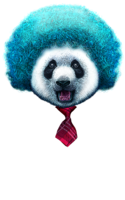 PandaAfro