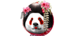 GEISHA PANDA