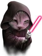 JEDICAT